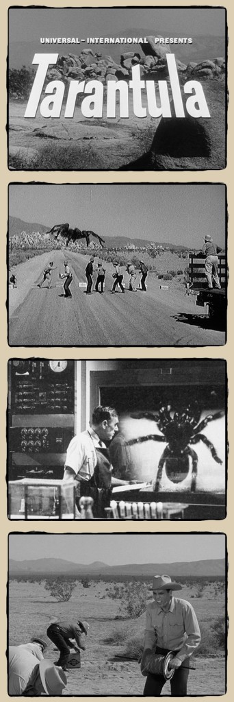 tarantula1955