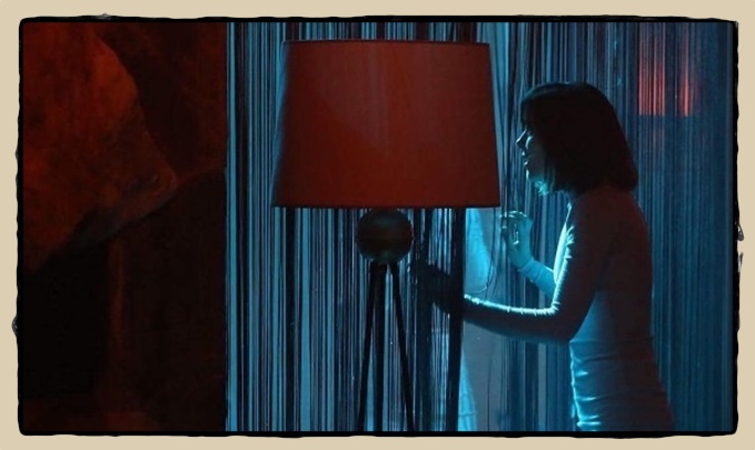 housewife can evrenol